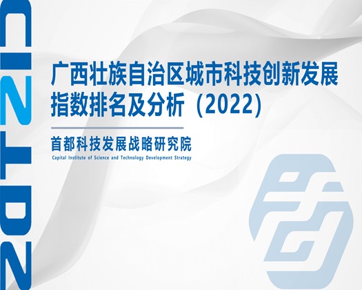 鸡吧网【成果发布】广西壮族自治区城市科技创新发展指数排名及分析（2022）